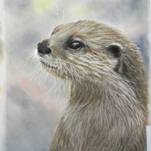 Bev_Barends (2)