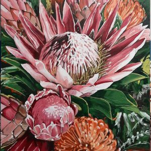 Cole_Hay_20240312_FYNBOS FINESSE