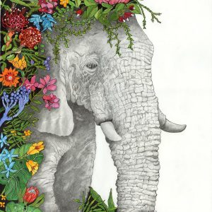 Linnea_Pergola_Elephant_Flowers